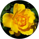 Val Woodruff profile picture